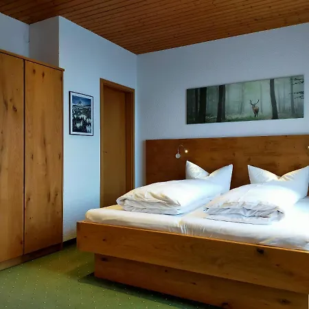 Guest house Edelweiss 3*