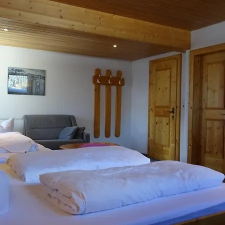 Edelweiss Guest house Damuels