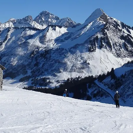 Edelweiss Гостевой дом Дамульс
